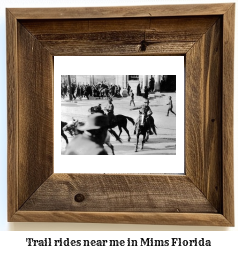 trail rides near me in Mims, Florida